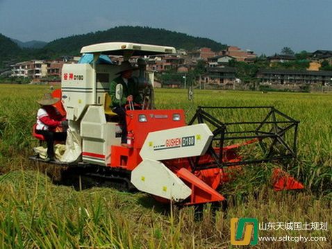 沙县成功发放首笔农土地抵押贷款大童农民增产通道