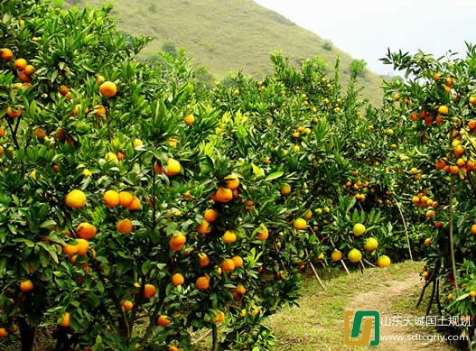 江西信丰支行首笔农土地抵押贷款发放缓解土地经营资金难题