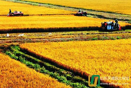 文登米山镇农土地流转 溢出土地1200多亩