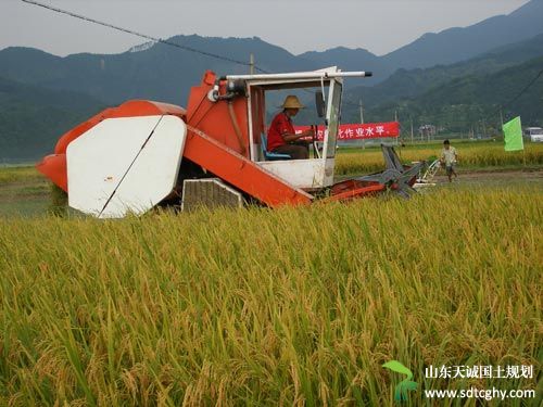 平罗逐步探索确定“五项权属” 唤醒沉睡土地资本