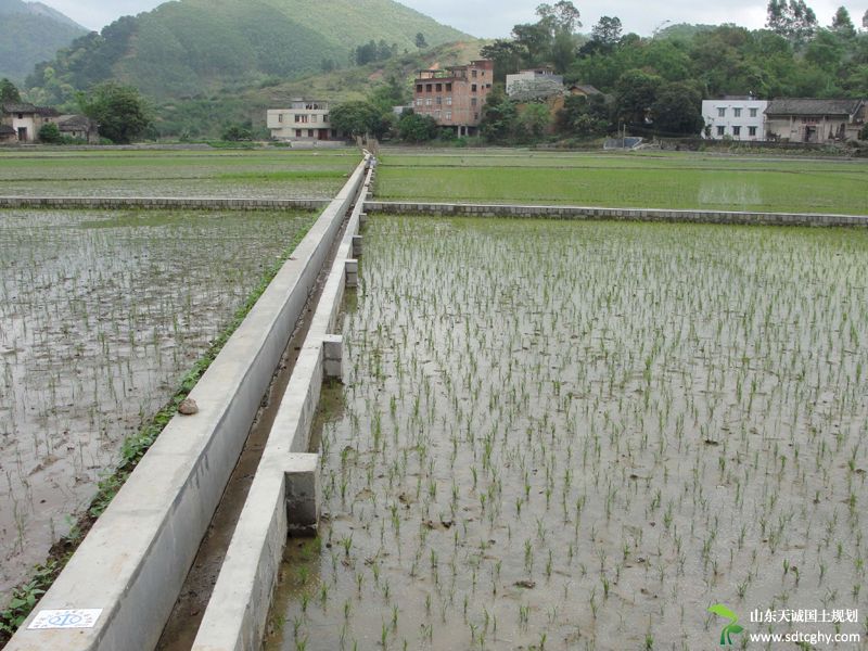 广西农田水利建设实现能灌能排不用担心春灌用水