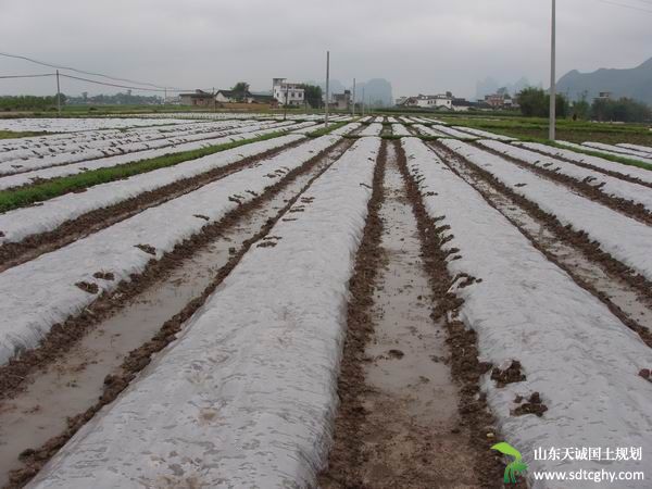  荔浦多方式推进农土地流转开辟农民致富新路