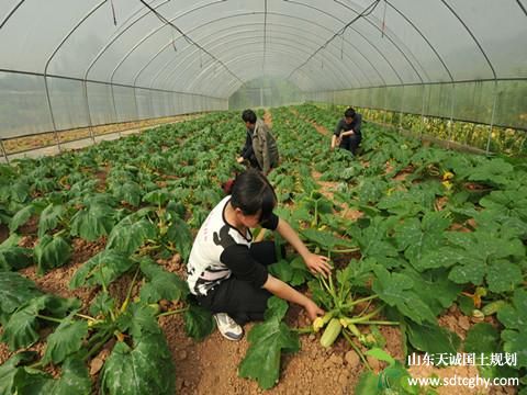 巴中农土地抵押贷款精准扶贫并助力农业产业发展