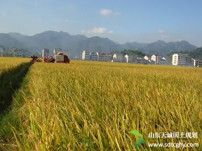 南城县农土地流转实现传统农业向现代化农业转型发展