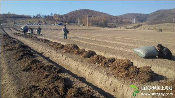 宽甸镇采取措施做好农土地承包经营权登记颁证工作