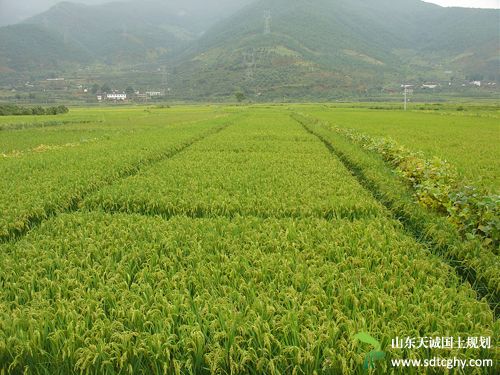 米易县家庭农场发展势头好 新增三家省级农场示范场