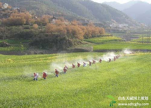 多元化土地流转成为东昌府区产业调整农民增收的途径