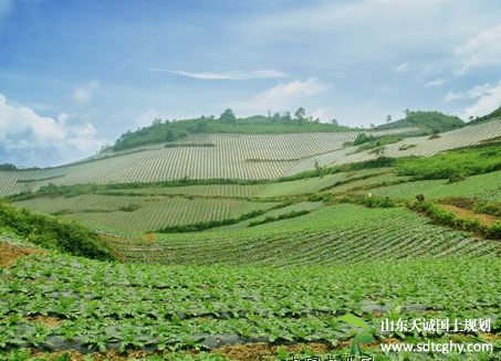 岩樟乡农土地确权给农户手中的土地上了身份证