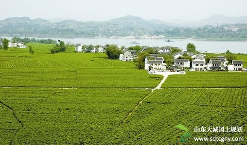 永靖镇四大措施并举稳定推进土地确权工作