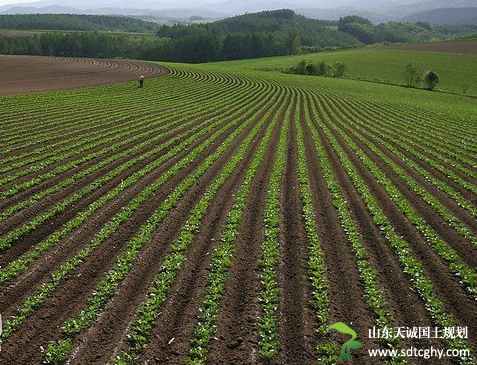 《关于建立耕地保护补偿机制的通知》下发 保护耕地有资金补偿