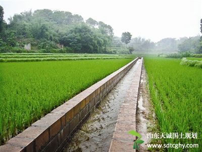 武功县农田水利建设促农生产效益农民致富