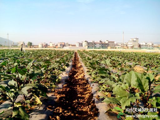 昆明发放首笔土地贷款 迈出土地贷款实质性步伐