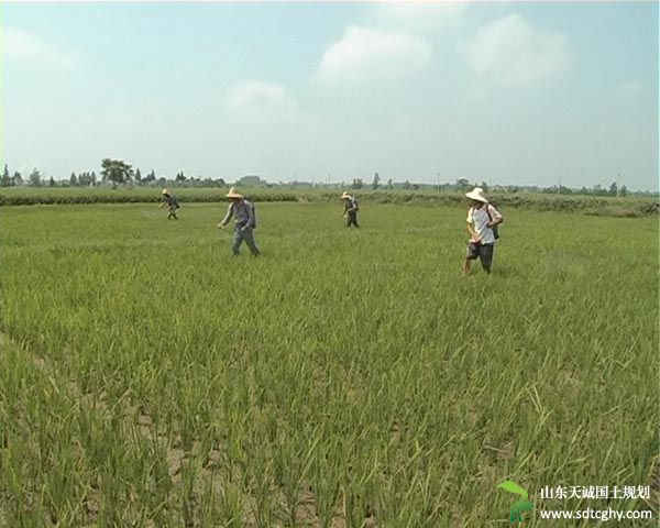 云梦县农民以土地经营权为抵押获10万元贷款