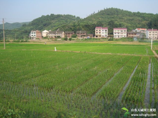 新邵县出台《办法》加强农村宅基地管理严格保护耕地