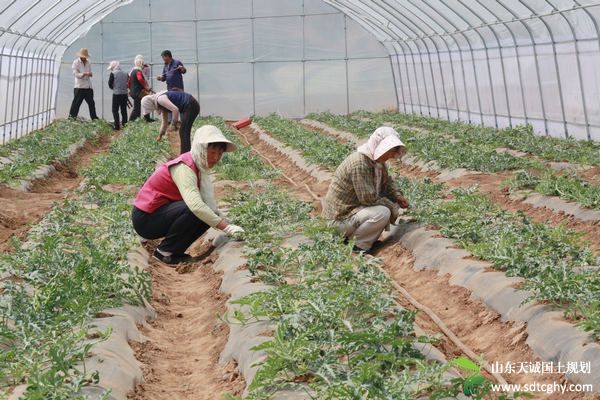 华亭县27.8万亩农村土地确权登记颁证工作