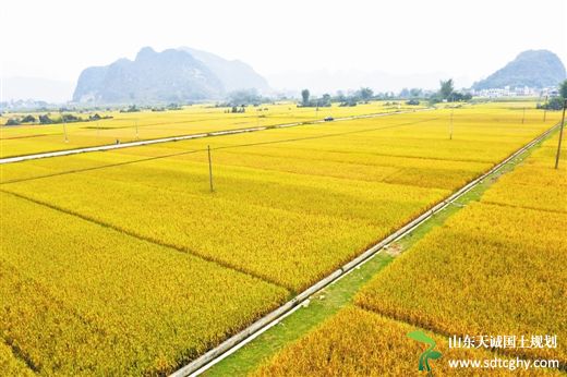 今年广西证券土地确权登记颁证率达到80%以上