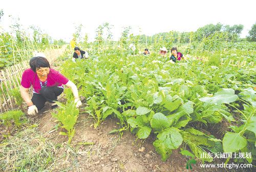 南安推出针对性家庭农场贷款满足农场资金要求