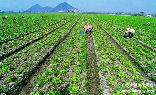 漳州农土地确权登记工作取得良好成效