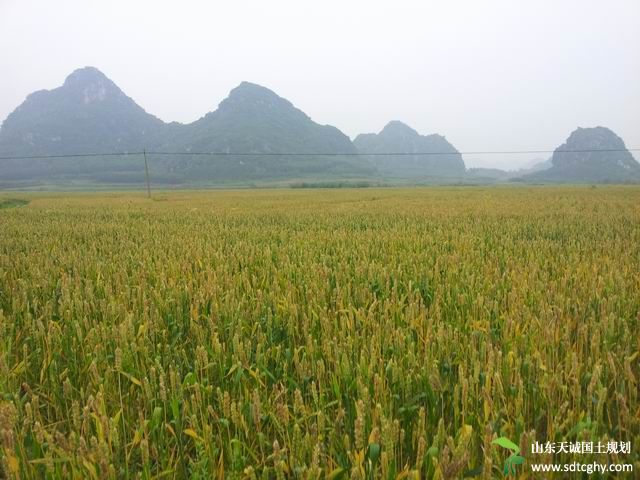 象州县全面加快农土地确权登记工作确保九月份通过验收