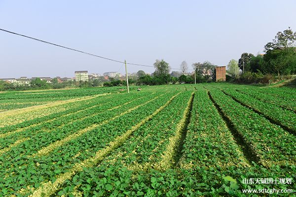 国土部出台指导意见 确保耕地占补平衡数量质量双到位