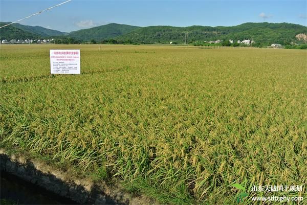 福建建立高标准农田建设联席会议制度协调解决有关问题