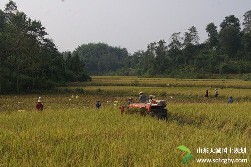 梁平县召开农土地流转“非农化”整改约谈会