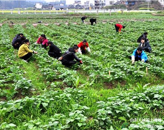 岩洞镇土地确权“六措施”确保确权工作扎实推进