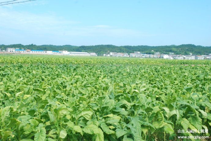 浏阳农土地确权登记全面铺开并将在十月底完成