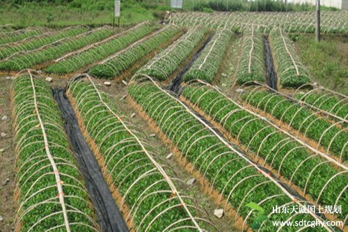 泾县调解土地流转案件助力新农村建设