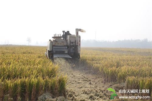 沛县公证处规范化土地流转防止不法和无效合同出现