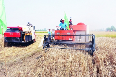 德阳农土地确权登记工作成效显著并通过检查验收