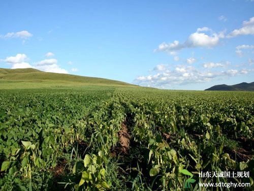 敖汉旗家庭农场如“雨后春笋”出现并茁壮成长助农增收