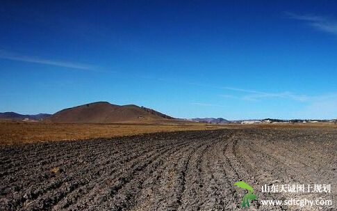 土地规模化经营是减少土地撂荒的“良药”