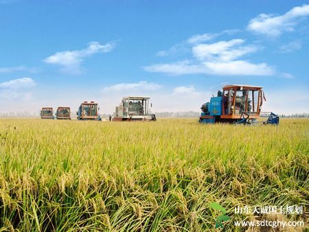 中州切实加强土地流转规范化管理保护农民利益