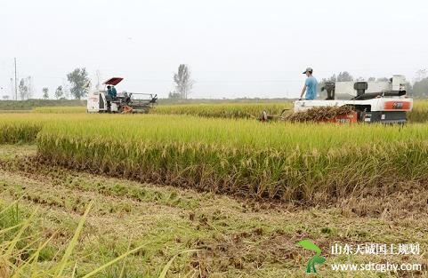 霍邱县发放首本农土地承包经营权证 农村承包地有了“身份证”