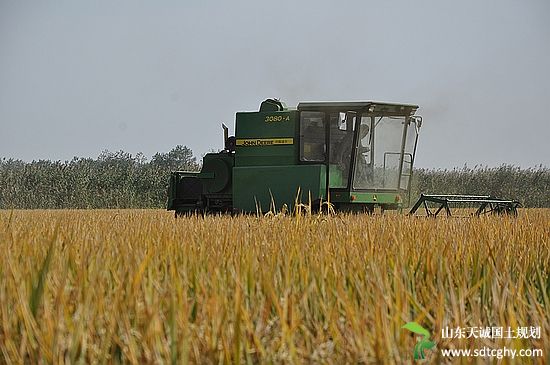 凤阳“家庭农场保证保险”贷款落地解决夏季耕种资金难题