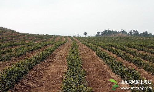 泉口镇多措施并举推进农土地确权登记颁证工作