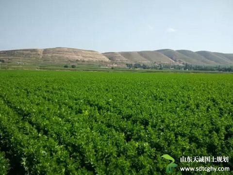 西吉县农土地流转实现土地规模化不断扩大