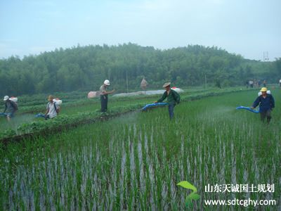 莲都推行“整村流转”新模式盘活沉睡的资产