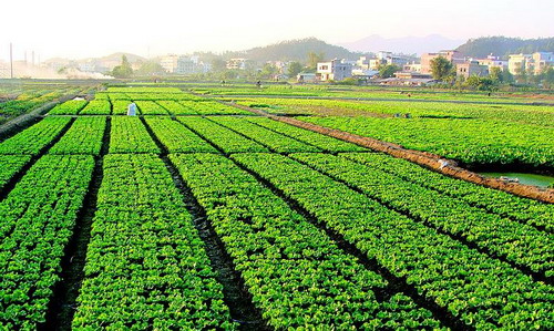 靖江区首批涉农土地流转保单签约 实现市场化和规范化