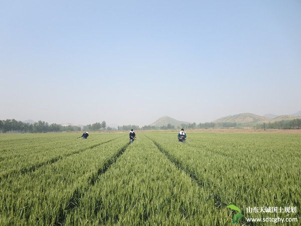 易县土地承包人不破坏耕地耕植前提下可用于养殖业