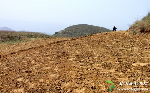 天诚为您详解有关农村土地继承问题的法律规定