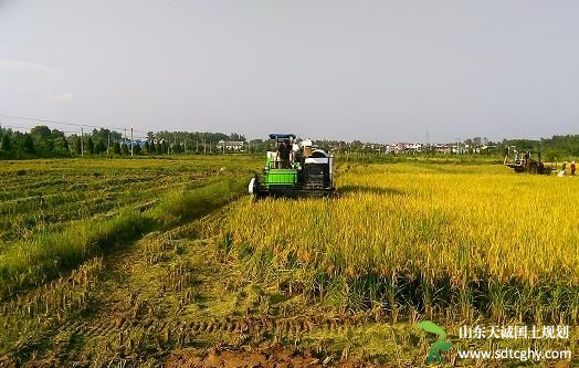 怀宁公岭镇农土地流转变荒地为良田促粮食丰收