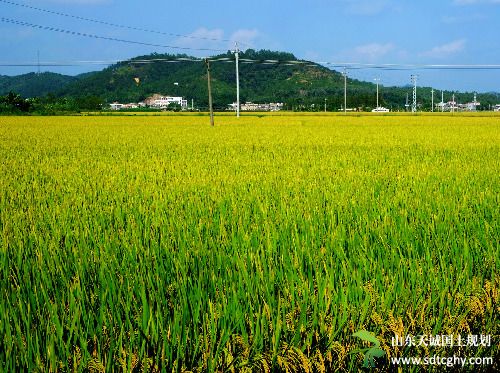 重庆近期出台《意见》 盘活农地助力农民脱贫