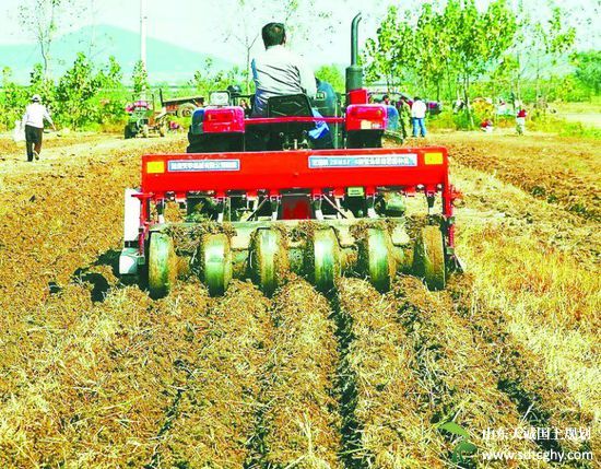 岚山区农土地流转实现就近就业助农脱贫致富