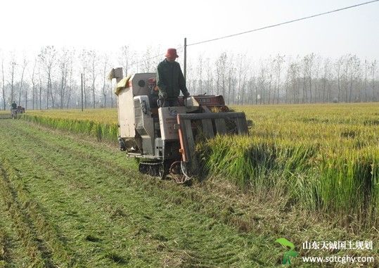 金湖县农土地确权为土地上了身份证让农民吃上定心丸