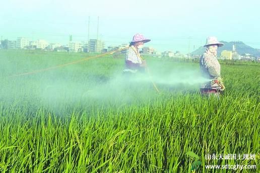 城厢发放首批农土地经营权证 农民拿着“红本”放心种田