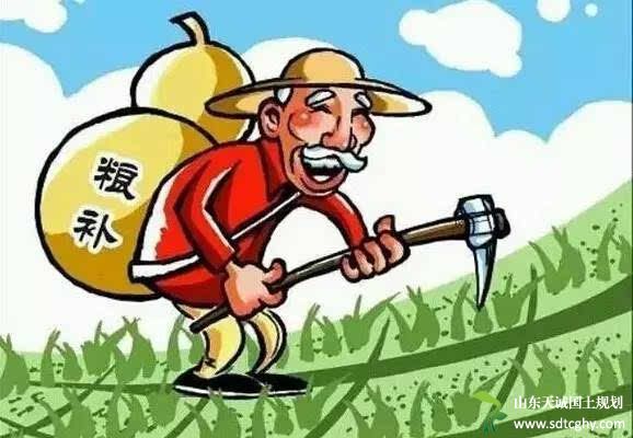 临淄区2016年粮食补贴发放到位 受益种粮大户132户