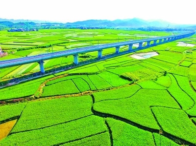 田东县农土地流转“小块并大块”取得显著成效