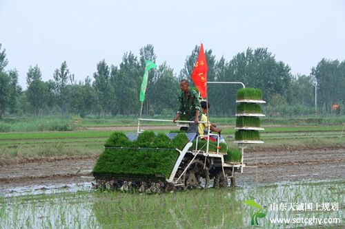 泰宁大田乡农土地确权让农户踏实种地